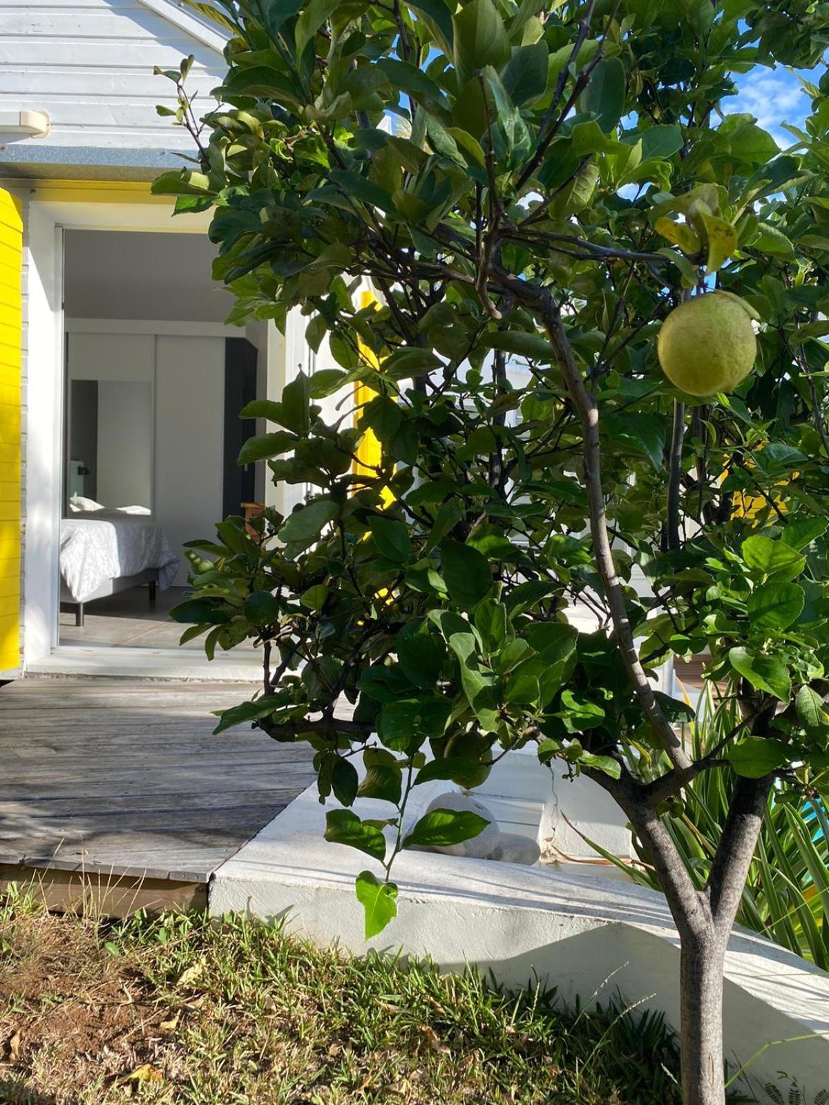 Villa Ylang Saint-Gilles-les-Bains Exterior foto